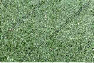 Photo Texture of Plastic Grass 0003